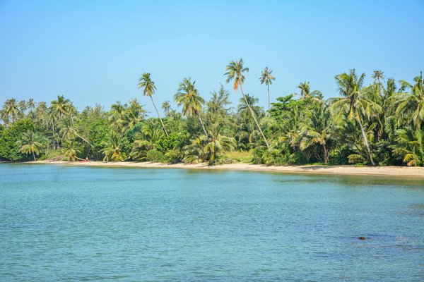 Découverte des activités famille à Pau chez Positive Kids